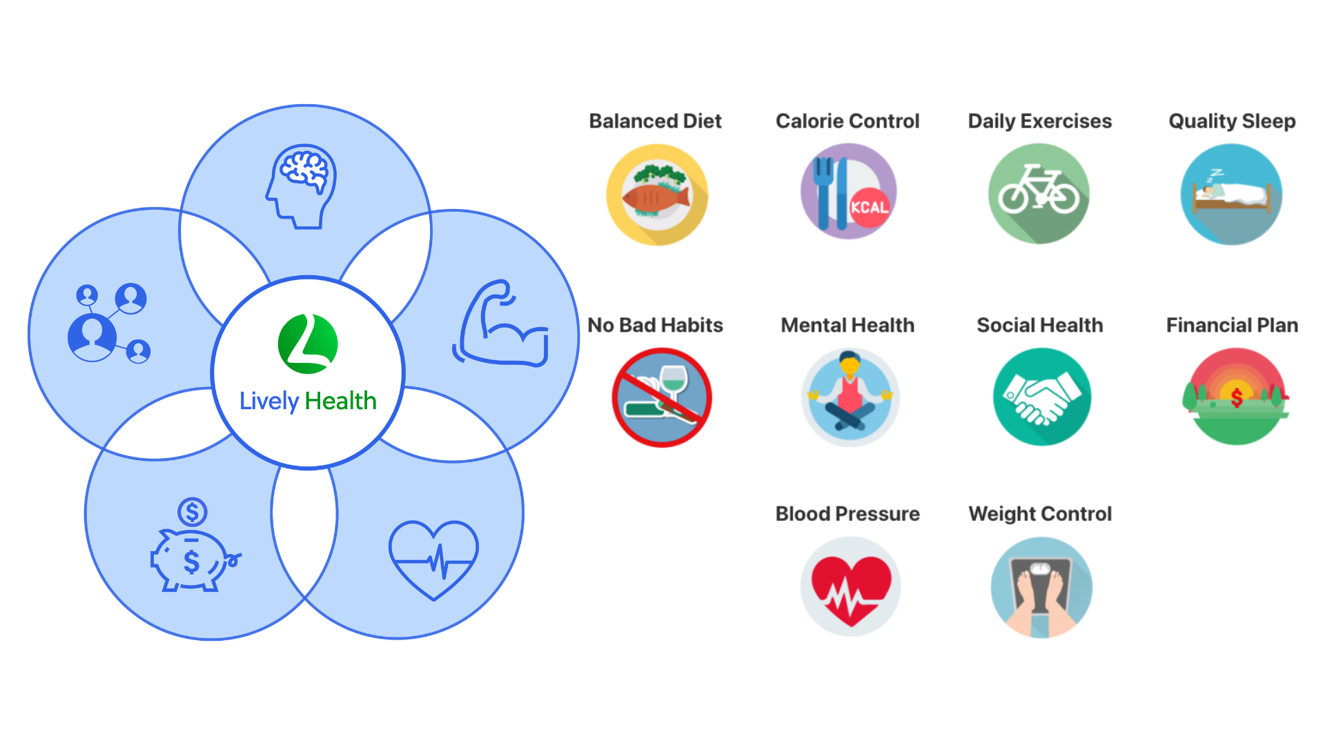 Lively Habits's 5 Pillar and 10 Lifestyle Habits